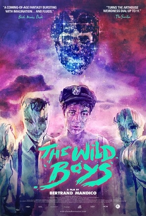 Poster of The Wild Boys