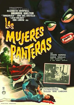Poster of The Panther Women
