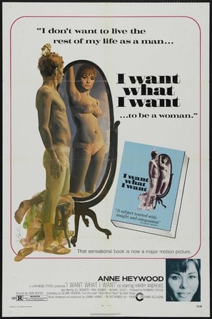 Poster of I Want What I Want