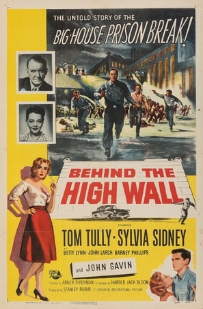 Poster of Behind the High Wall