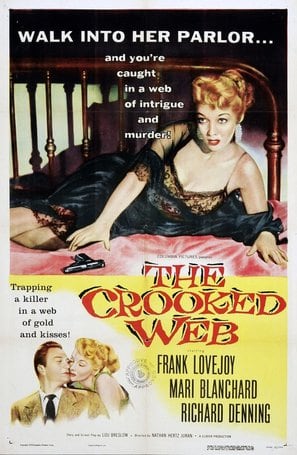 Poster of The Crooked Web