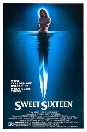 Poster of Sweet Sixteen