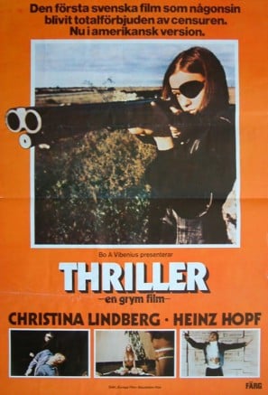 Thriller: A Cruel Picture poster