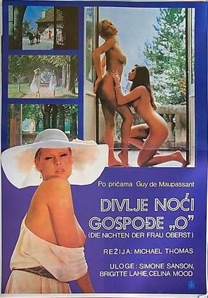 Secrets of a French Maid poster