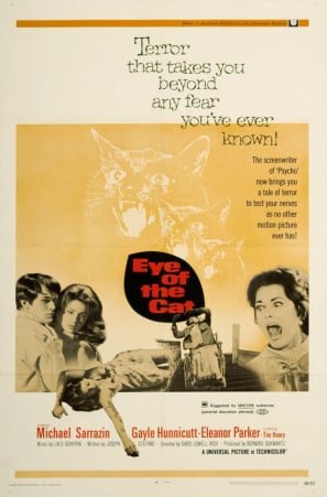 Eye of the Cat poster