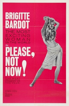 Please, Not Now! poster