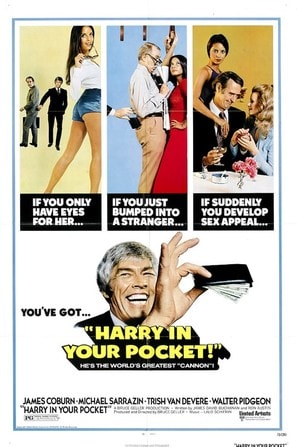 Poster of Harry in Your Pocket