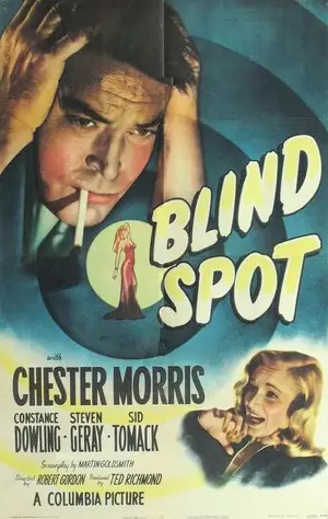 Blind Spot poster