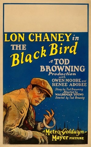 Poster of The Blackbird
