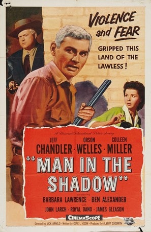 Poster of Man in the Shadow