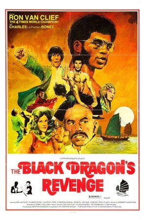 Poster of The Black Dragon’s Revenge