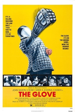 Poster of The Glove