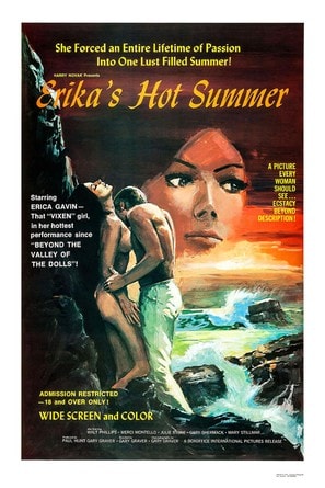 Poster of Erika’s Hot Summer