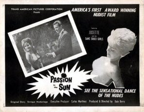 Passion in the Sun poster
