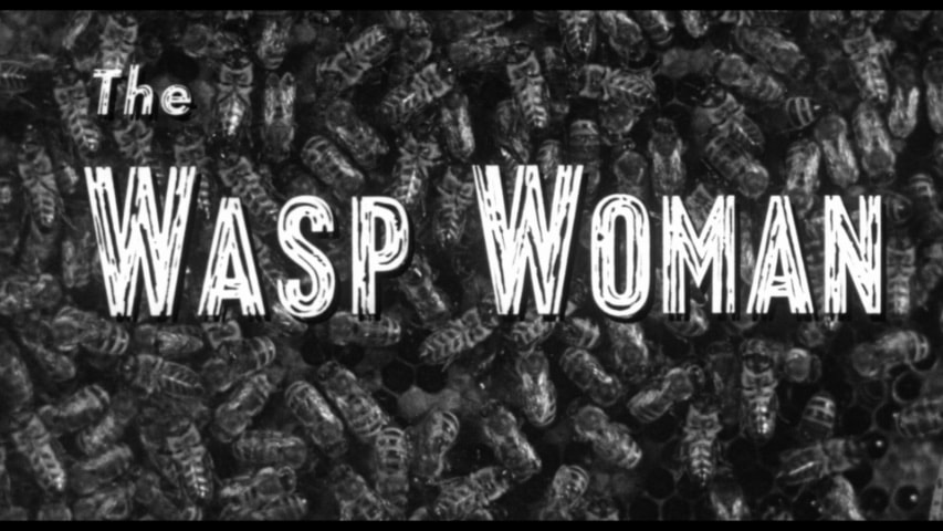 The Wasp Woman title screen