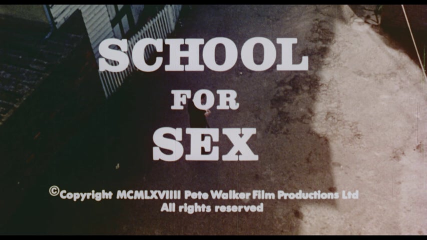 School for Sex title screen
