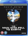 The Man Who Fell to Earth
