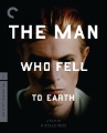 The Man Who Fell to Earth