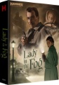Box art for Lady in the Fog