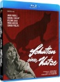 Box art for The Shadow of the Cat