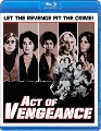 Box art for Act of Vengeance