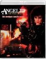 Box art for Angel III: The Final Chapter