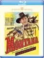 Box art for Montana