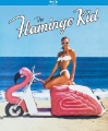 The Flamingo Kid
