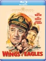 Box art for The Wings of Eagles
