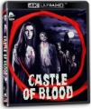 Box art for Castle of Blood