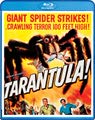 Scream Factory box art