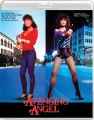 Box art for Avenging Angel