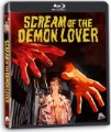 Box art for Scream of the Demon Lover