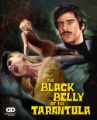 Box art for Black Belly of the Tarantula