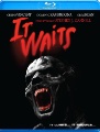 Box art for It Waits