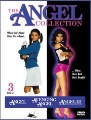 Box art for Avenging Angel