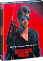 Box art for Cobra
