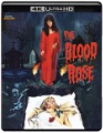 The Blood Rose disc