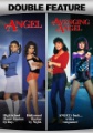 Box art for Avenging Angel