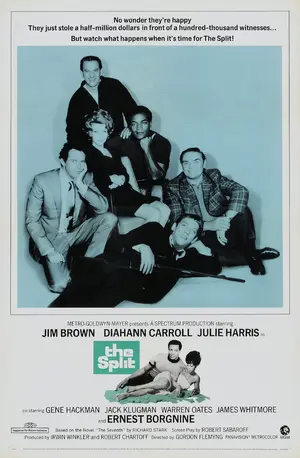 Poster of The Split