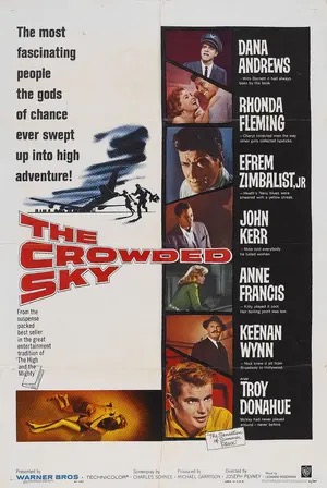 Poster of The Crowded Sky