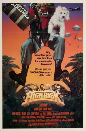 Poster of High Risk