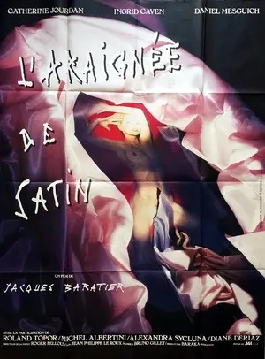 The Satin Spider poster