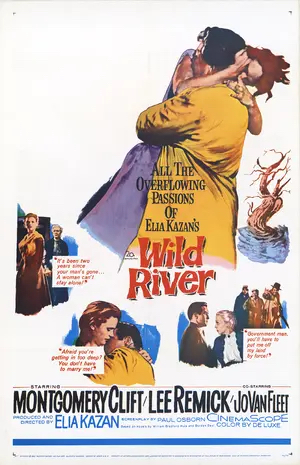 Poster of Wild River