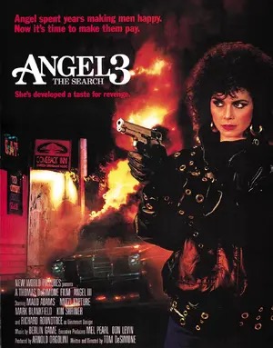 Poster of Angel III: The Final Chapter