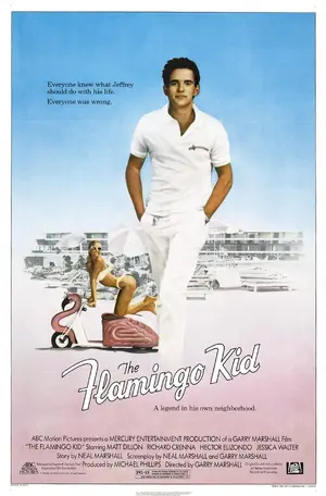 Poster of The Flamingo Kid