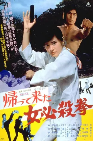 Poster of Return of the Sister Street Fighter