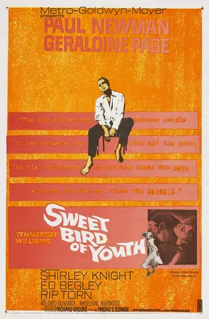 Poster of Sweet Bird of Youth