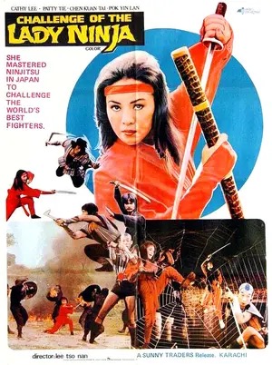 Poster for The Challenge of the Lady Ninja