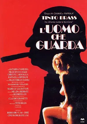 Poster of The Voyeur